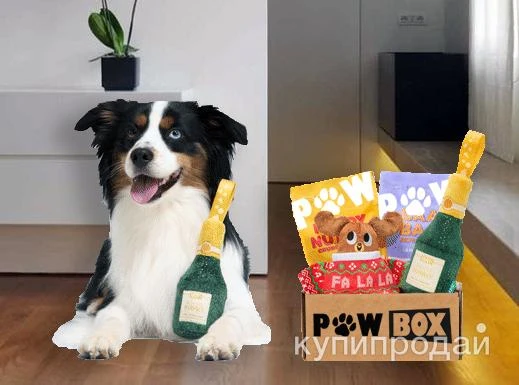 Фото Сюрприз для вашего пса – PawBox
