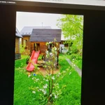 Фото №6 Прививаю новые и редкие сорта яблони, груши, сливы, абрикоса