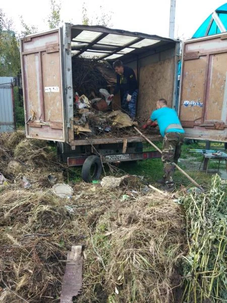 Фото Вывоз мусора 