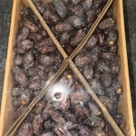 Фото №3 Королевские финики Medjool Jumbo (Иордания) — 5 кг