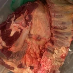 Фото №2 Говядина