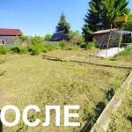 Фото №15 Покос травы В РОЩИНО И ВЫБОРГСКОМ РАЙОНЕ. 