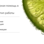 Частный мастер компьютерная помощь 2lime