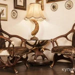 фото Чучела диких животных