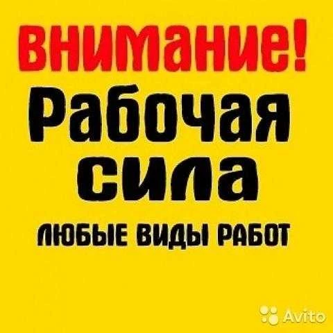 Фото Утилизация, вывоз мусора.