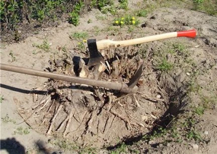 Фото Снос деревянных домов и сооружений в Уваровке