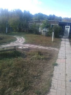 Фото Передержка собак