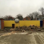Фото №4 Спил деревьев