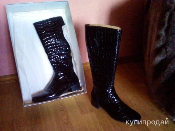 Фото Сапоги женские демисезонные