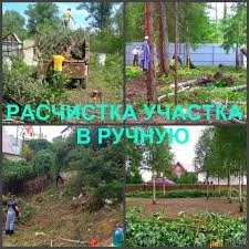 Фото Расчистка участков