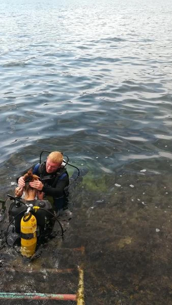Фото Дайвинг в Ялте / Погружения с аквалангом в Ялте