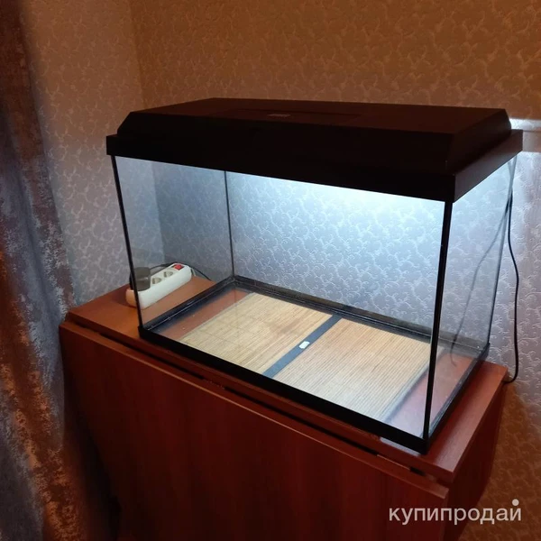 Фото Аквариум