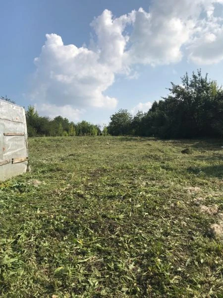 Фото Покос травы и бурьяна, спил, опиловка деревьев