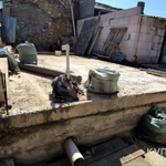 Фото №4 Лот  73832 Дом на учaстке 1 cот.