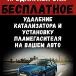 Бесплатное удаление катализаторов