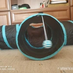 Фото №3 Гамак и тоннель для кота