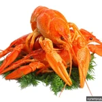 Фото №3 ПРАЙС ЖИВЫЕ РАКИ. ПРАЙС ВАРЕНЫЕ РАКИ.