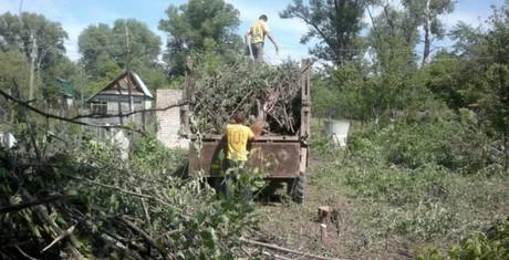 Фото Уборка территории,Спил деревьев,Демонтаж,Вывоз мусора