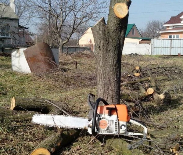 Фото Спил кронирование деревьев. 