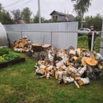 Фото №3 Спил деревьев