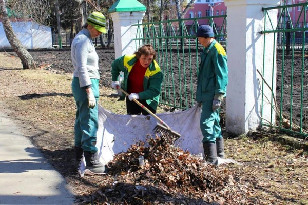 Фото Уборка территории
