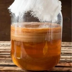 фото Чайный гриб Комбуча