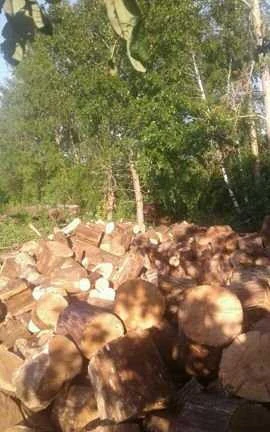 Фото Дрова дубовые сухие