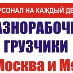 Грузчики недорого в Одинцово. 