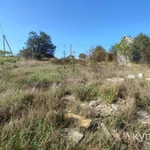 Фото №10 Лот  74578 Предлагаем к продаже участок на Северной стороне Севастополя в СНТ