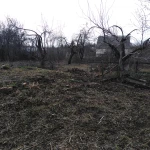 Фото №4 Садовые работы