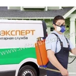 Служба №1 по борьбе с вредителем / Павлово + Район