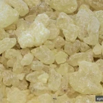 фото Смола Даммар