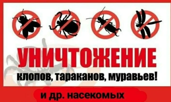 Фото Уничтожение насекомых. Дезинсекция тараканов и клопов. 