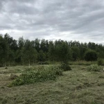 Фото №4 Требуется вспашка участка