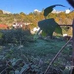 Лот 74475 В продаже участок с небольшим уклоном.