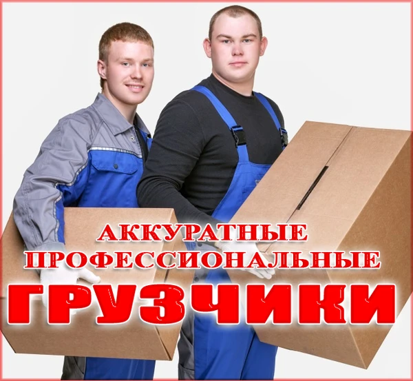 Фото  Аккуратные Грузчики