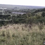 фото Мёд разнотравье с собственной пасеки, Кубанский