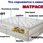 Фото №6 Уничтожение клещей-сапрофитов,клопов