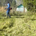 Фото №3 Ваш участок зарос Нужен покос травы Я помогу Вам