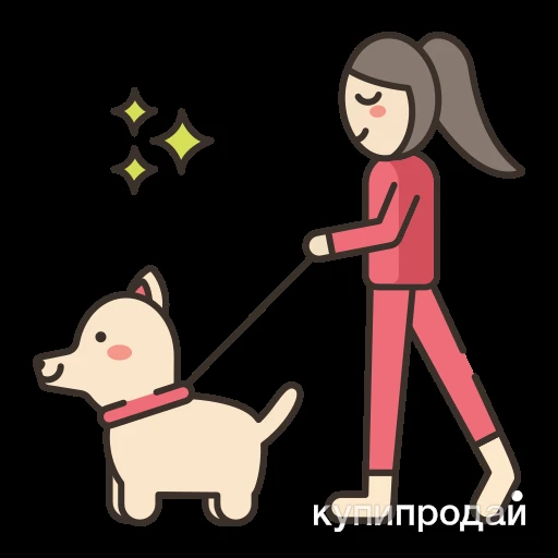 Фото Выгул собак