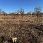 Фото №2 Продам участок в Крыму рядом с озером