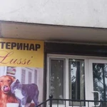 Ветеринарные услуги