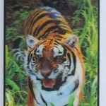 фото Чехлы для IPhone, Samsung, IPad с изображением 3D.