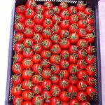 фото Помидоры оптом из Турции