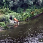 Фото №7 Участок на Дону