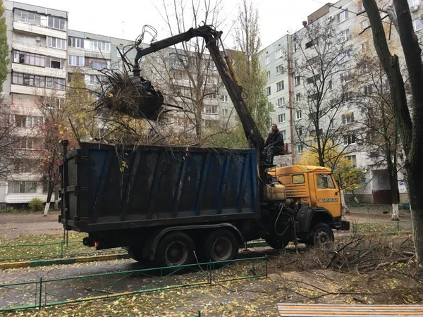 Фото Вывоз Мусора Ломовозом