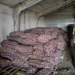 Фото №2 Продам картофель 500 руб. сетка