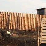 Фото №2 Горбыль строительный Дрова березовые 