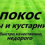 Покос травы и газонов Наро- Фоминск, Апрелевка, Селятино.