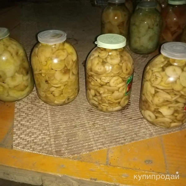 Фото Продам гузди